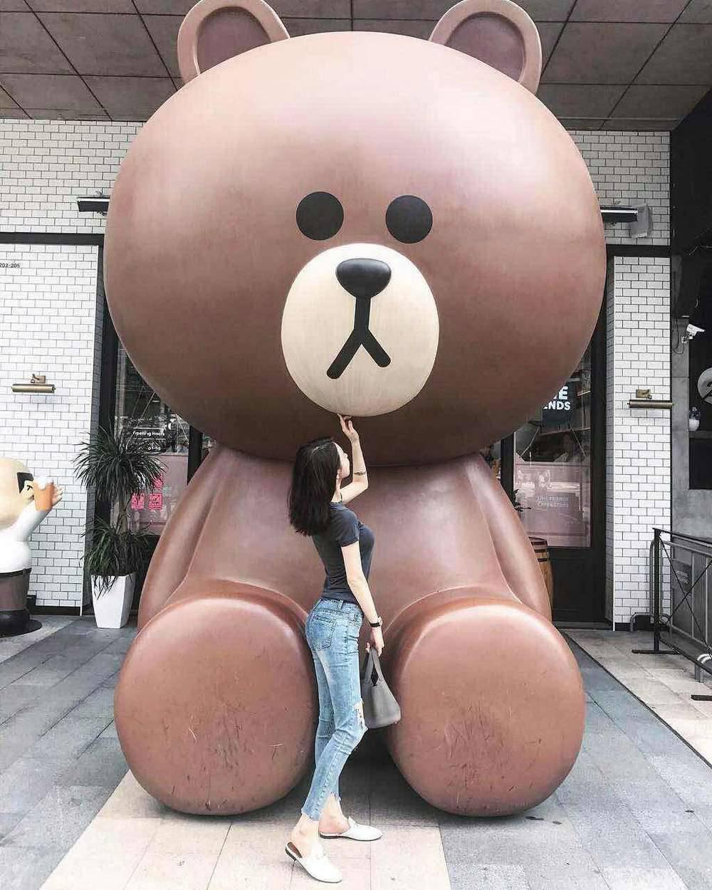 小熊你好
