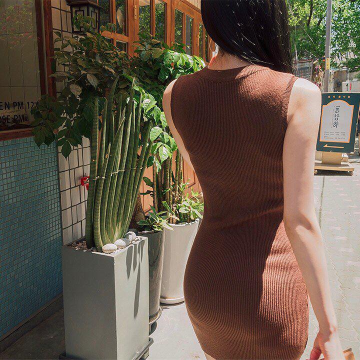 什么植物
