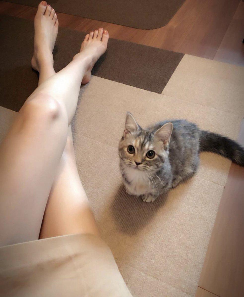 小猫咪